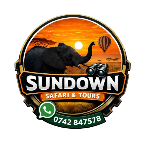 adentiaenterprises.com.masikiotoursandsafaris.com